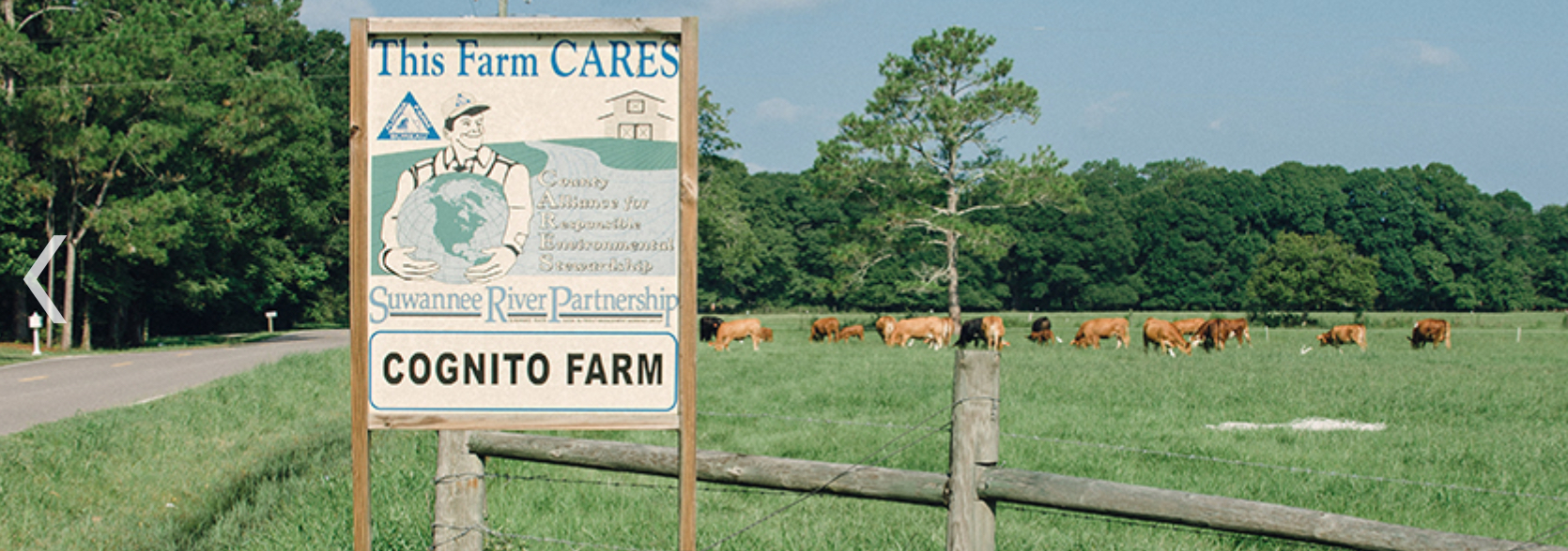 Cognito Farm